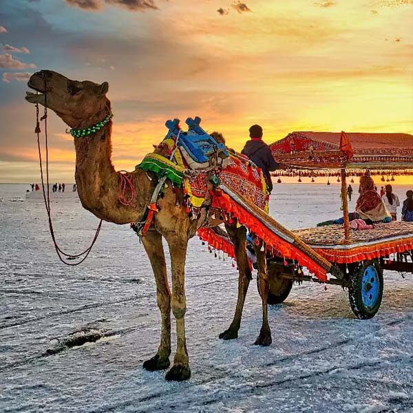 Couleurs Du Gujarat 11 Jours
