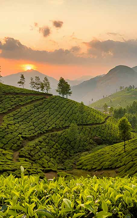 Munnar voyage