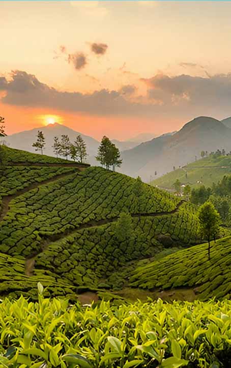 Munnar