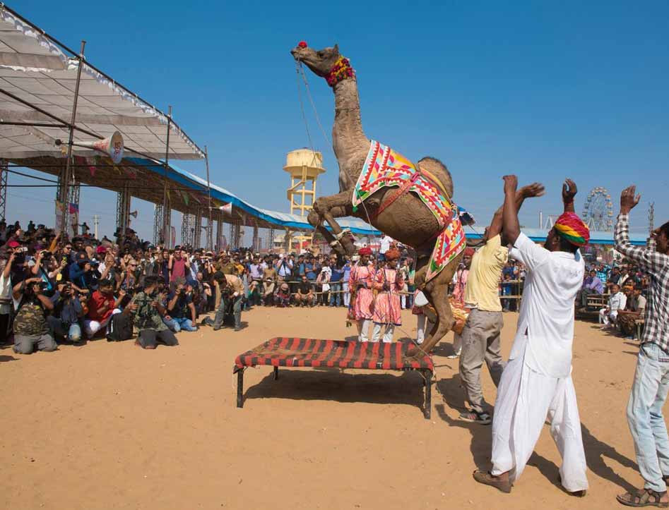 Pushkar fair