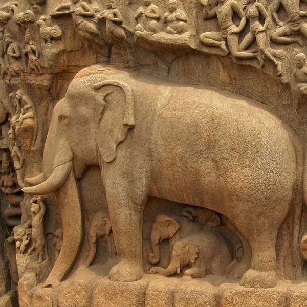 Voyage de 28 jours en Inde du Sud et en Inde du Nord